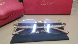 Cartier Rimless Eyeglasses