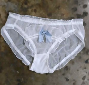 Sheer White Lace panty