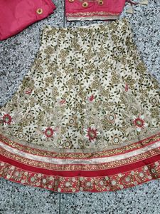 Stunning Embroidered Lehenga Choli Set
