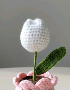Crocheted Tulip Plant
