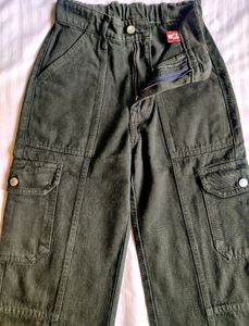 Price Drop 🥳 Green Denim Cargo Pants