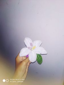 Velvet Flower