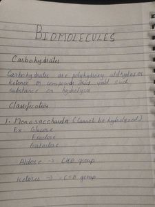 Class 12 Organic Chemistry Notes