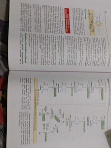 Biochemistry 4th Edition Textbook
