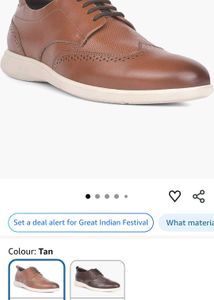 Classic Brown Wingtip tan sneaker