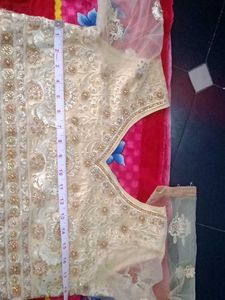 Exquisite Embroidered Lehenga Choli