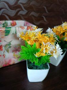 Mini Decorative Flower Pot