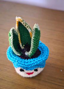 Crocheted Plant Pot Decor