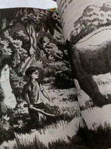 Magic Tree House Books 1-28
