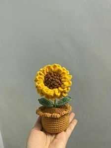 Crochet Tulip in Pot