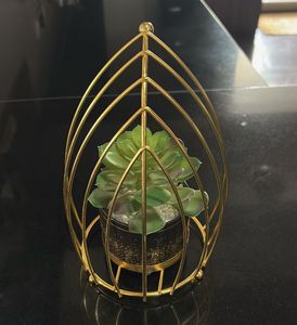Modern Golden Metal Succulent Planter