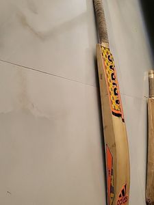 Bat
