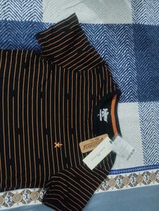 Roadster Striped Tshirt For Men