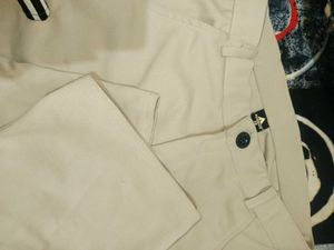 beige  Wide-Leg Pants