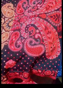 Vibrant Paisley saul