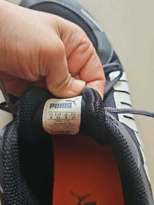 Puma Men's Running Shoes