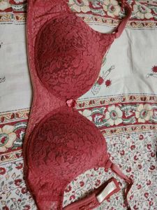 Lace Padded Bra