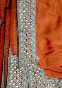 Orange Saree with Embellished Border