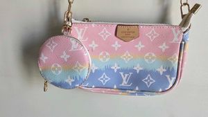 Lv inspired rainbow pochette