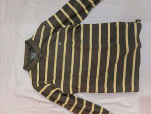 Combo of 2: STAR Men's Polo Full Sleeve Striped T-