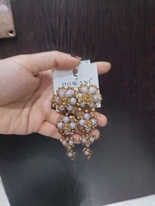 Elegant Dangle Earrings