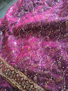 Shiny Worked Saree 💝