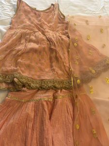 Peach Ethnic Gown with Gold Print