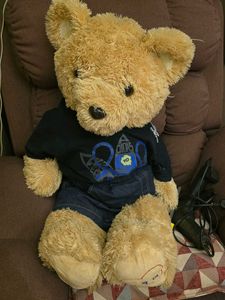 Plush Teddy Bear