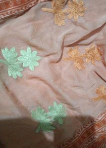 Elegant Peach Kurta Set with Dupatta