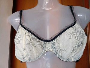 Sheer Lace Bra