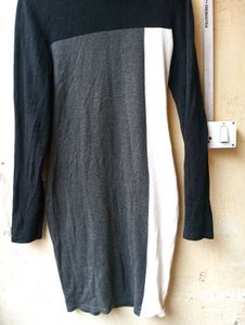Bodycon ColorBlock Turtleneck Dress (Women)