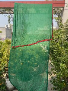 Green Dupatta with Red Border