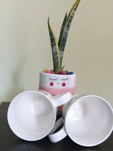 Asthetic Ceramic Coffee Mug✨