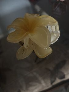 6 Floral Hair Clips and Bow