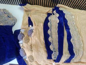 Elegant Beige Saree with Blue Border
