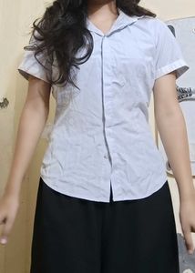 Classic Light Blue Short Sleeve Blouse