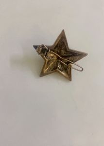 Star Pearl Hair Clip
