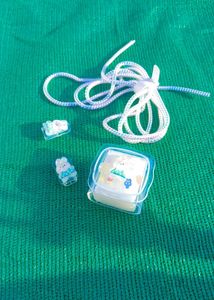 Charger Case