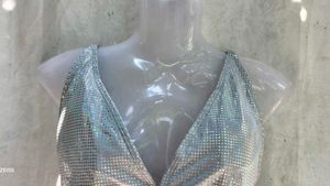 Sparkling Silver Bikini Top