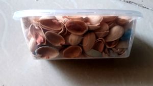 Pista Shells Craft