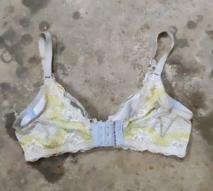Blue Embroidered Bra