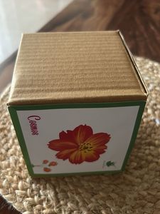 DIY Sow and Grow Kit - Cosmos Seeds