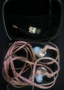 Hardly Used IEMs+DAC+Premium Eartips Combo