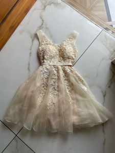 vintage Lace tulle dress