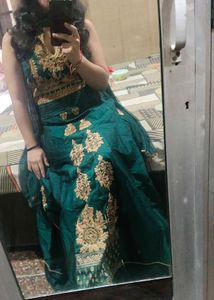 Elegant Green long gown dress ethnic wth dupata