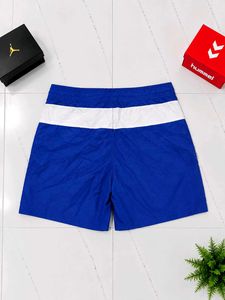 Hollister Blue &amp; White Striped Swim Shorts