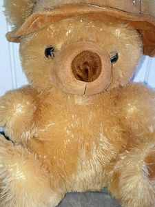 Cute Teddy Bear with Hat