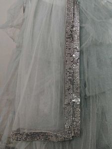 embellished  choli with dupatta