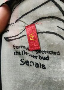 A PINK STOLE By BRAND W