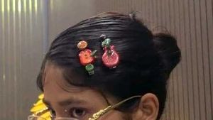 Cute Handmade Hair Clips